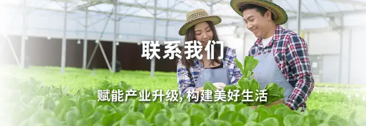 成功案例手机端 banner